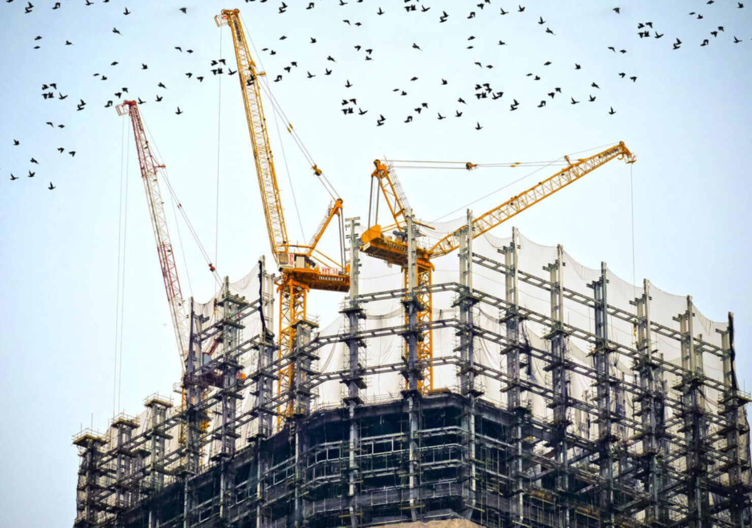 stadium-construction